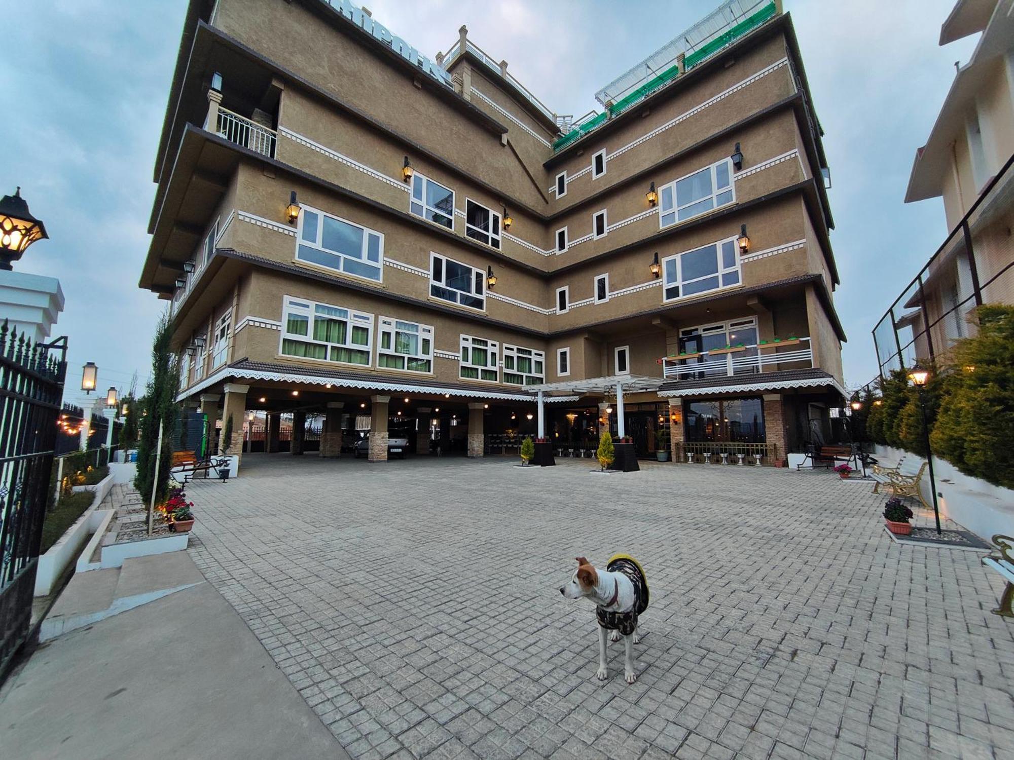 Hotel Acropolis シロン エクステリア 写真